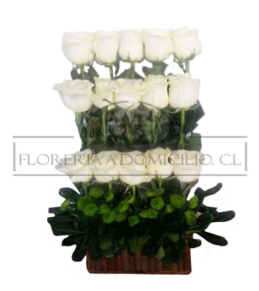15 Rosas Ecuatorianas